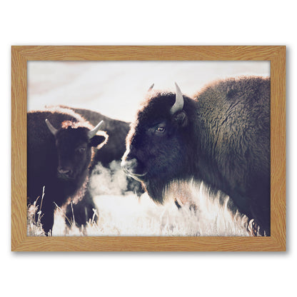 Contemporary Southwest Photography - 6 Piece Framed Gallery Wall Set