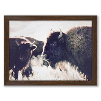 Contemporary Southwest Photography - 6 Piece Framed Gallery Wall Set