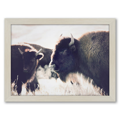 Contemporary Southwest Photography - 6 Piece Framed Gallery Wall Set