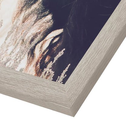 Contemporary Southwest Photography - 6 Piece Framed Gallery Wall Set