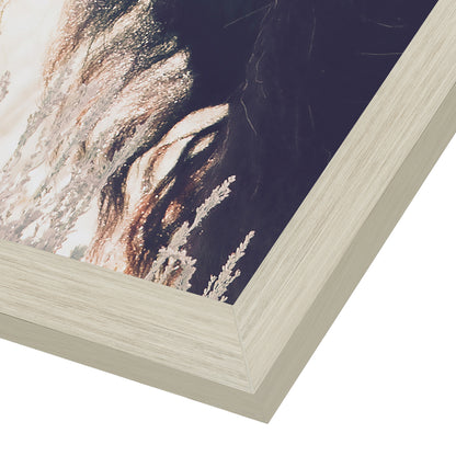 Contemporary Southwest Photography - 6 Piece Framed Gallery Wall Set