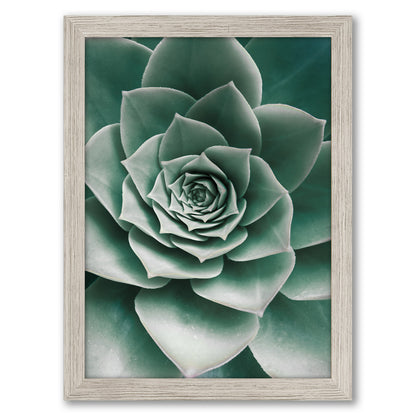 Contemporary Southwest Photography - 6 Piece Framed Gallery Wall Set