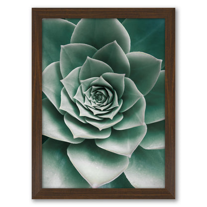 Contemporary Southwest Photography - 6 Piece Framed Gallery Wall Set
