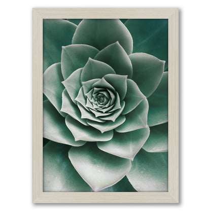 Contemporary Southwest Photography - 6 Piece Framed Gallery Wall Set