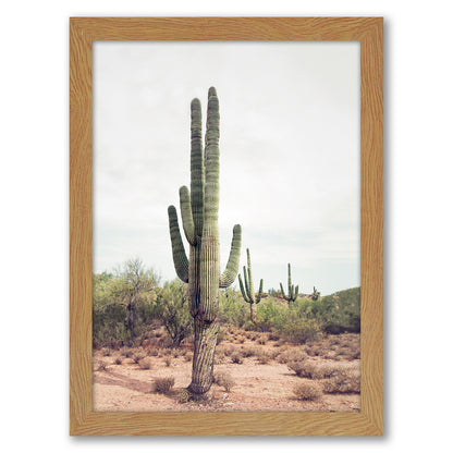 Contemporary Southwest Photography - 6 Piece Framed Gallery Wall Set