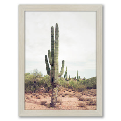 Contemporary Southwest Photography - 6 Piece Framed Gallery Wall Set