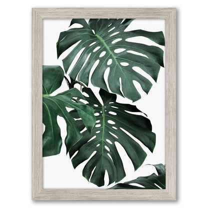 Contemporary Southwest Photography - 6 Piece Framed Gallery Wall Set