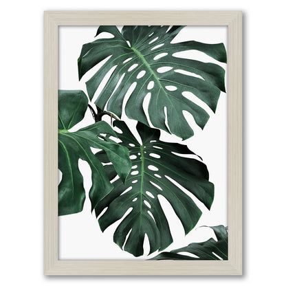 Contemporary Southwest Photography - 6 Piece Framed Gallery Wall Set