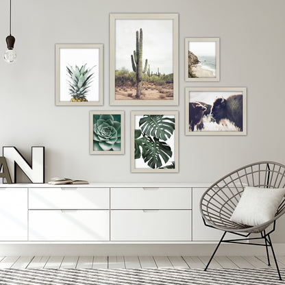 Contemporary Southwest Photography - 6 Piece Framed Gallery Wall Set