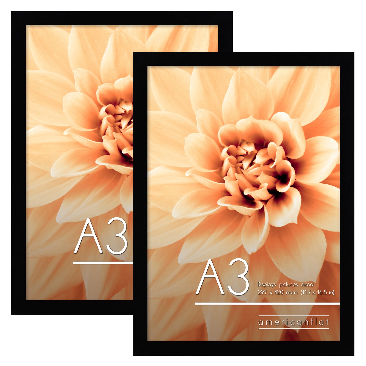 2-pack A-Sized Picture Frame (A2, A3, A4, A5) | Choose Size and Color