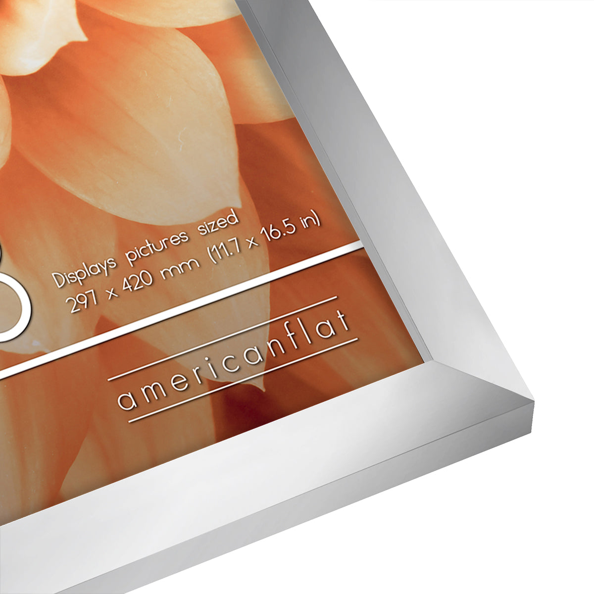 A-Sized Picture Frame (A2, A3, A4, A5) | A Frames Collection