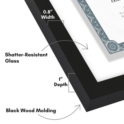 Americanflat Floating Frame for Magazine Cover - Composite Wood & Plexiglass - 12.5x15 - Black
