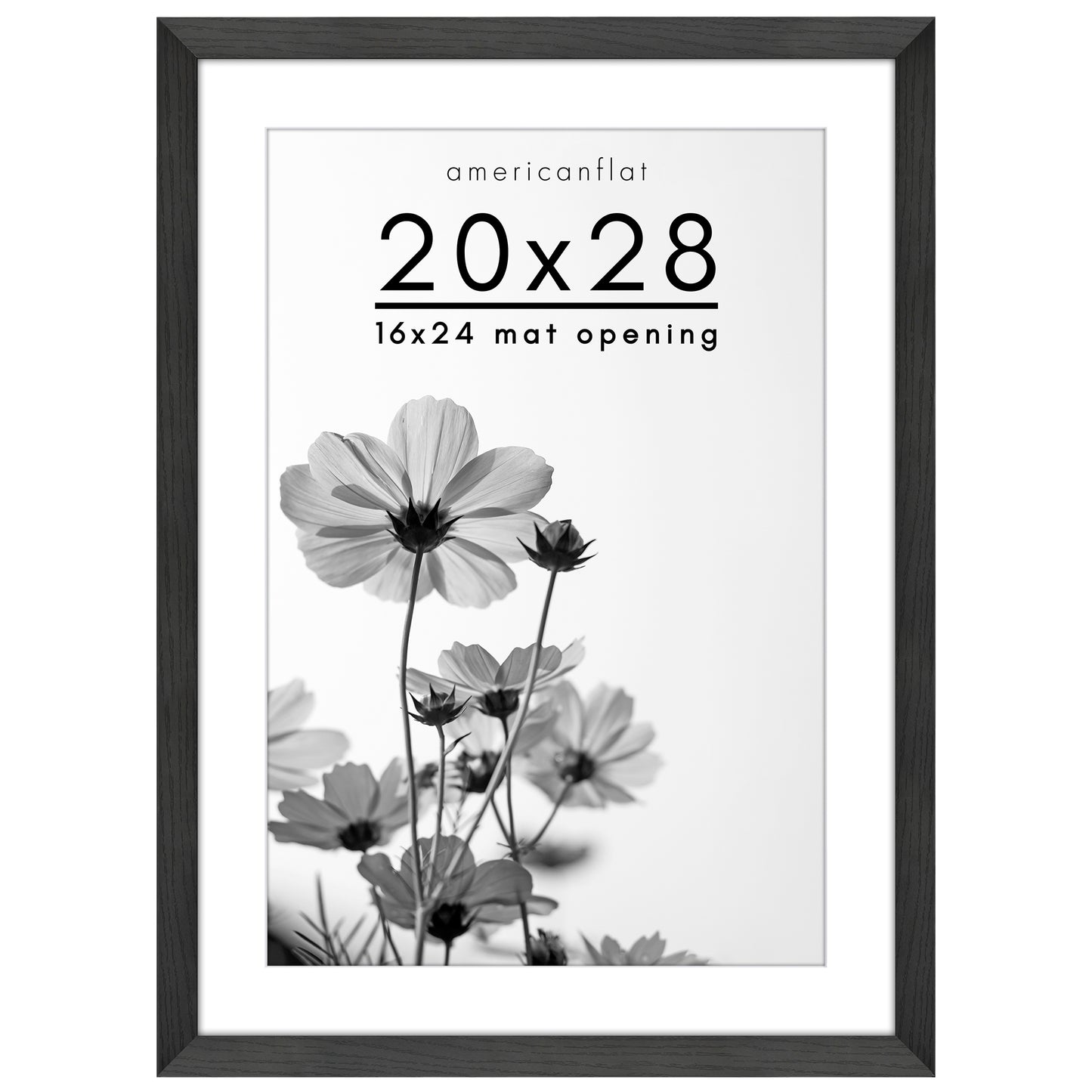 Oversized Gallery Picture Frame with Mat | Hudson Collection