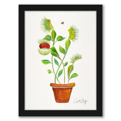 Venus Fly Trap by Cat Coquillette - Framed Print