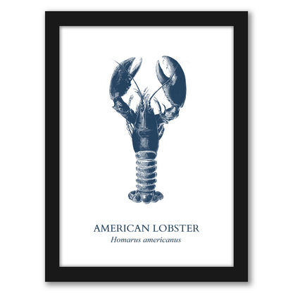 Lobster Sea by Samantha Ranlet - Framed Print
