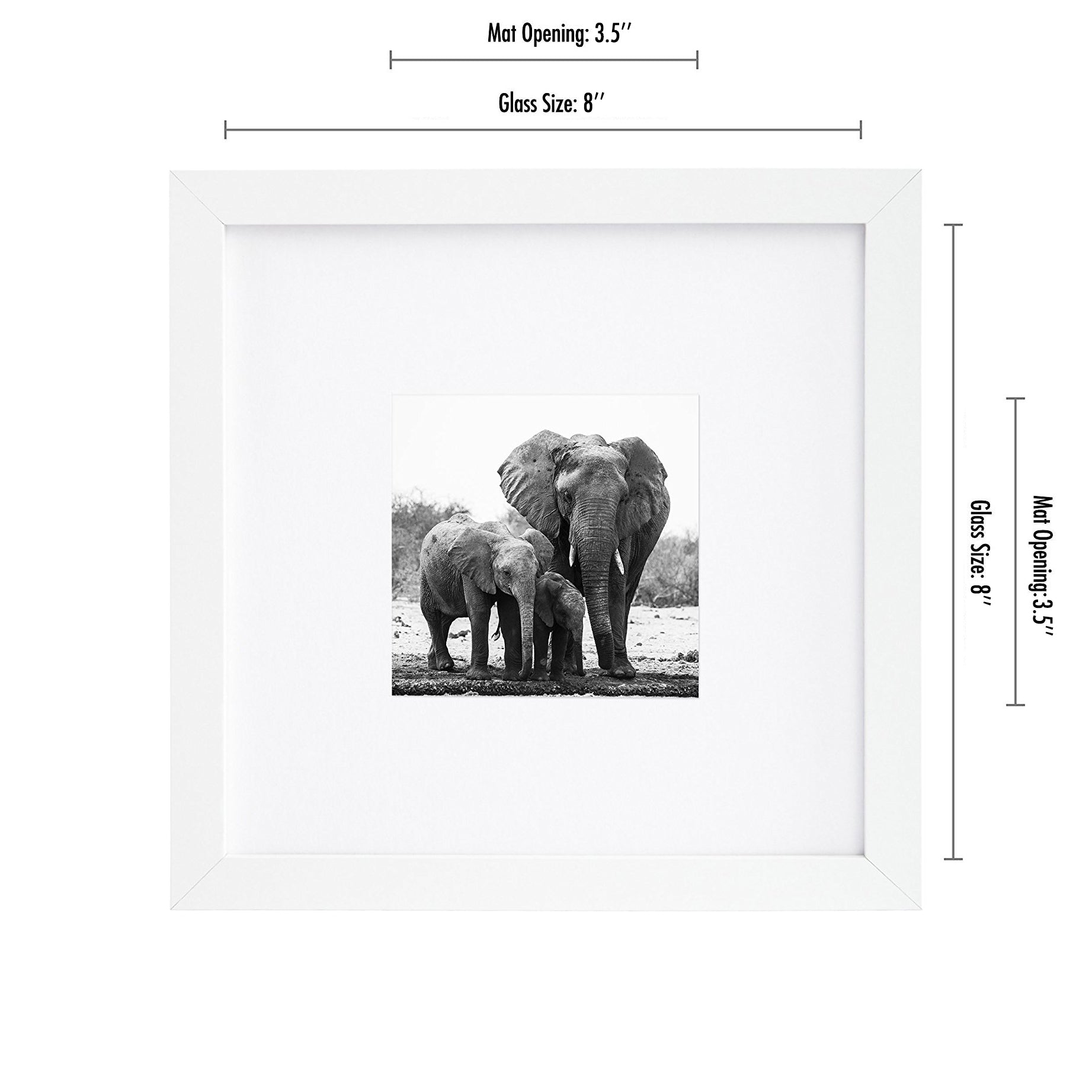 Picture Frame in White with Shatter Resistant Glass and Easel Stand for Wall and Tabletop - 8" x 8" - Pack of 15 - Picture Frame - Americanflat