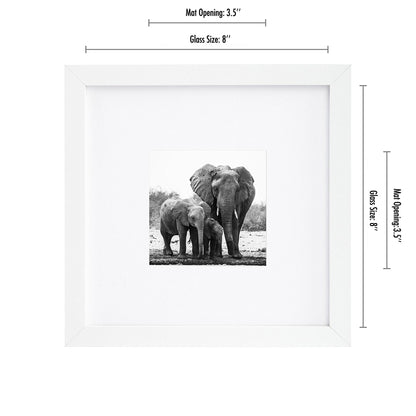 Picture Frame in White with Shatter Resistant Glass and Easel Stand for Wall and Tabletop - 8" x 8" - Pack of 15 - Picture Frame - Americanflat