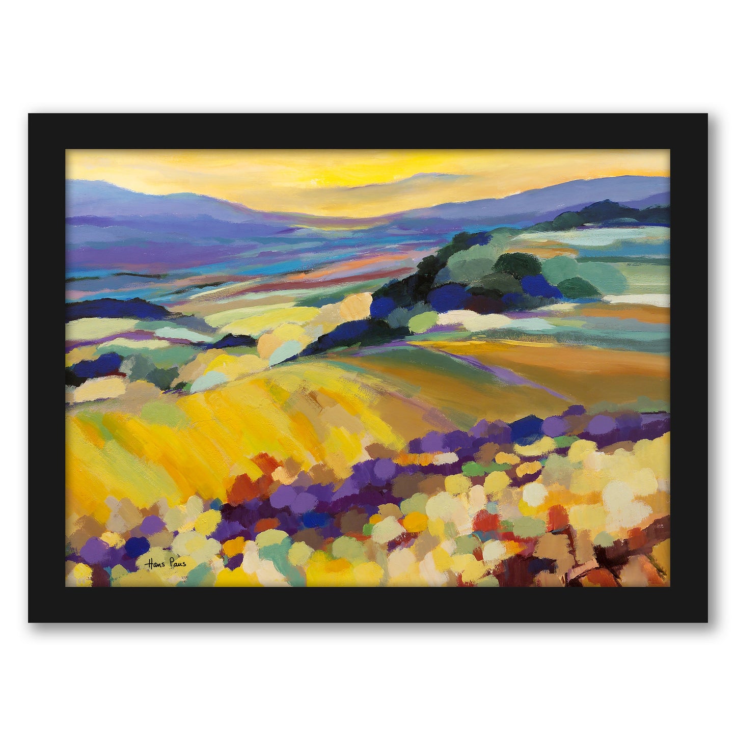 Abstract Landscape 8 By Hans Paus - Framed Print