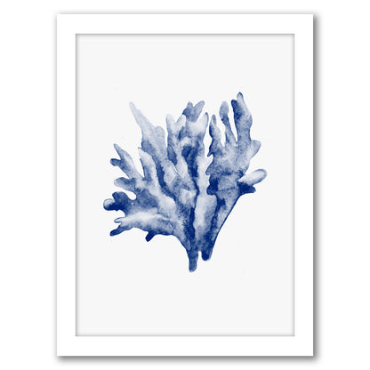 Blue Coral 2 By Nuada - Framed Print