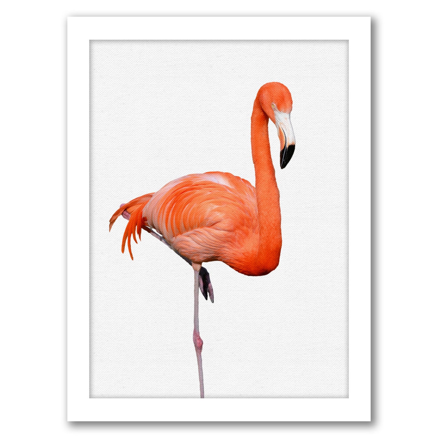 Flamingo By Nuada - White Framed Print