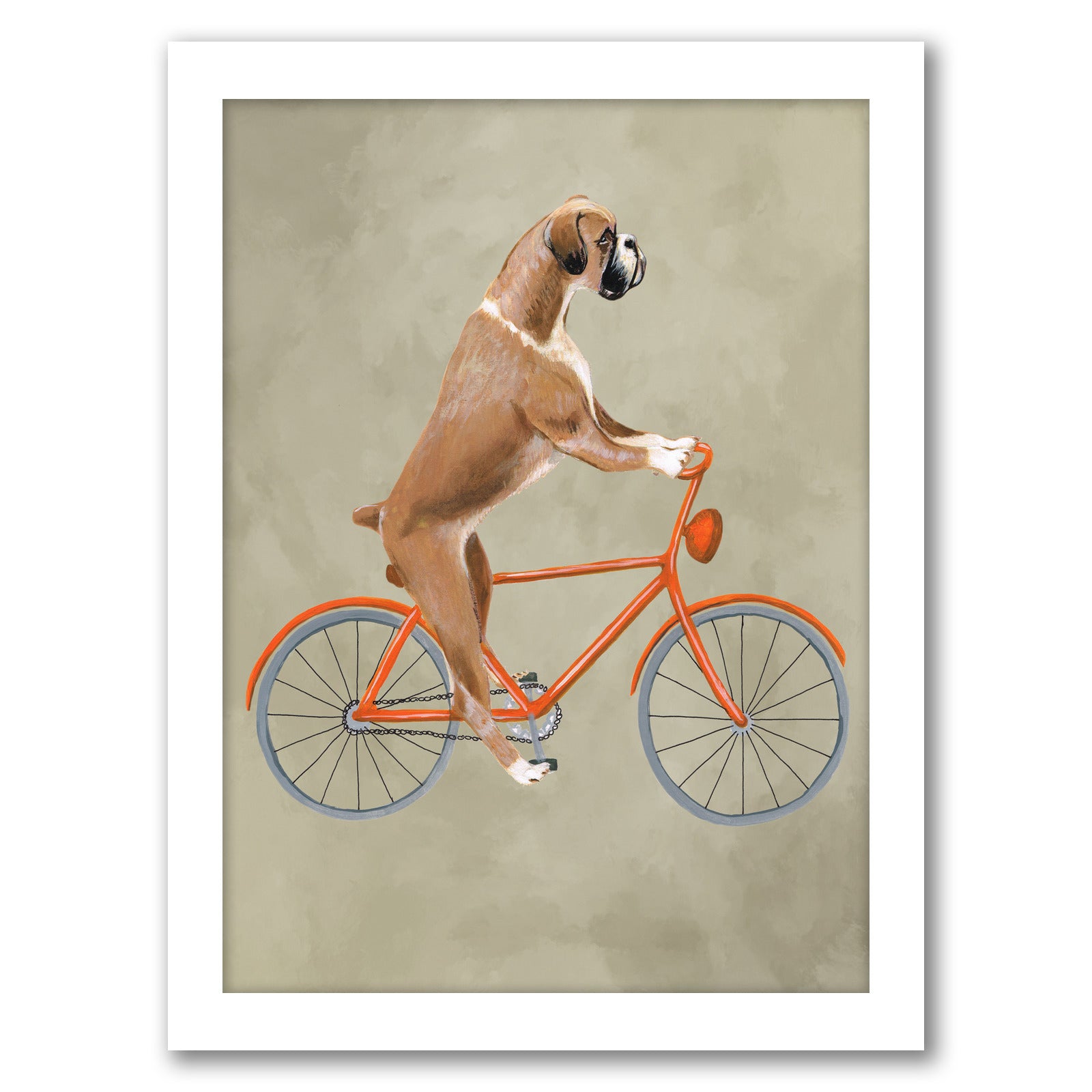 Boxer On Bicycle By Coco De Paris - White Framed Print