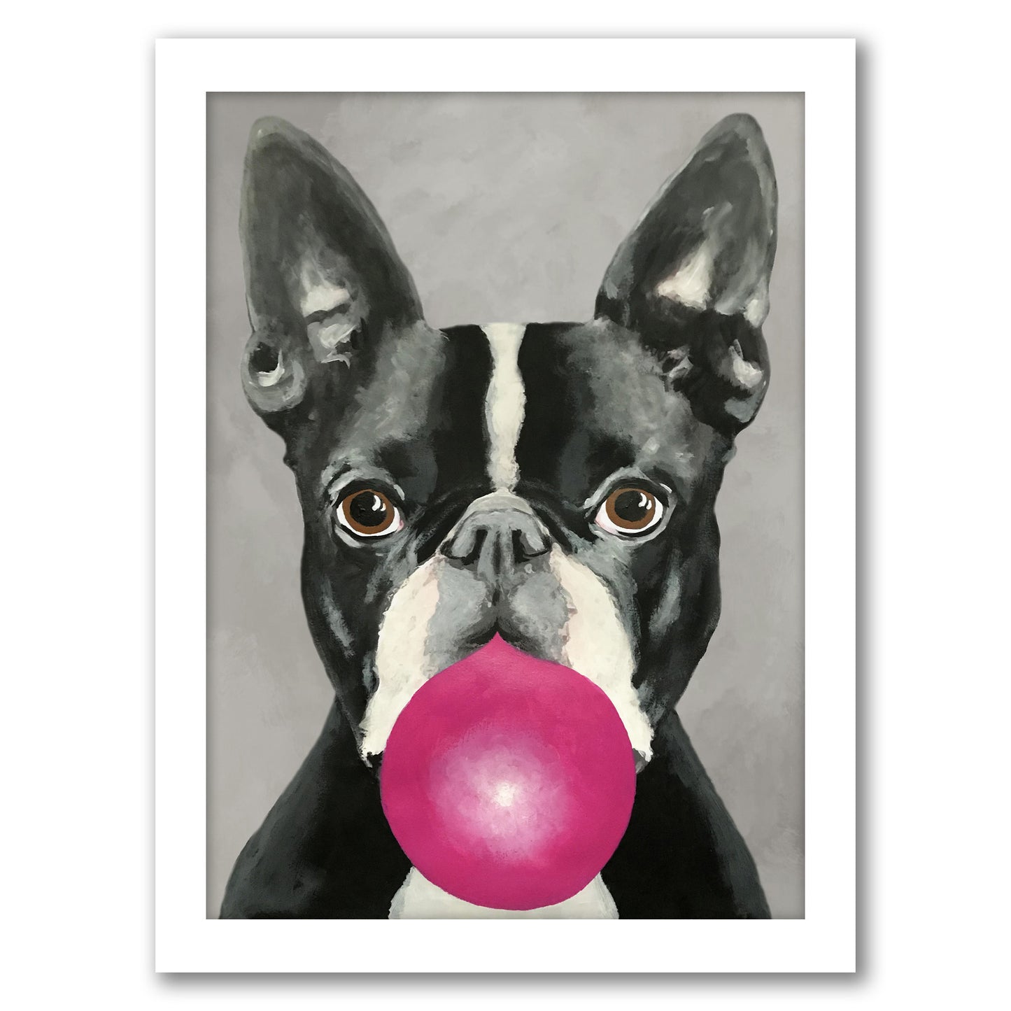 Boston Terrier With Bubblegum By Coco De Paris - Framed Print