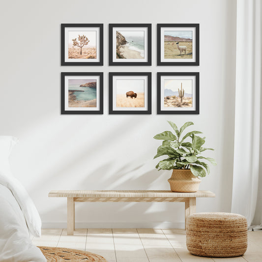 Neutral Nature Photography - 6 Piece Framed Gallery Wall Set - Americanflat