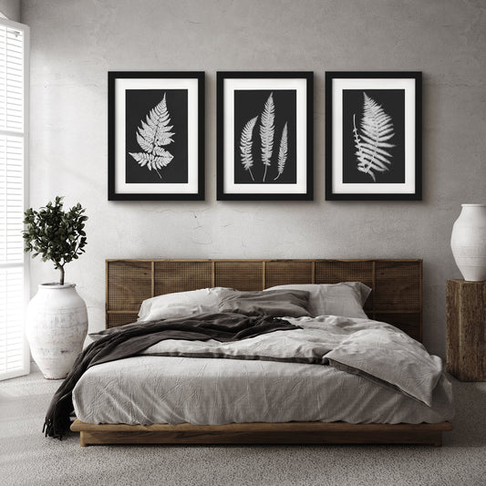 Black and White Botanicals by Chaos & Wonder Design - 3 Piece Gallery Framed Print Art Set - Americanflat