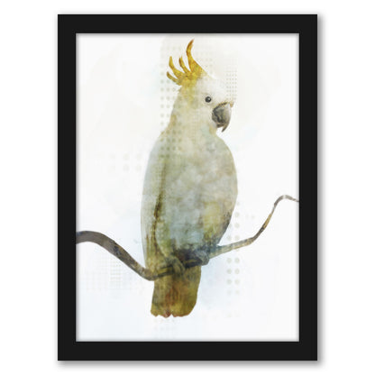 Cockatoo by PI Creative Art - Framed Print