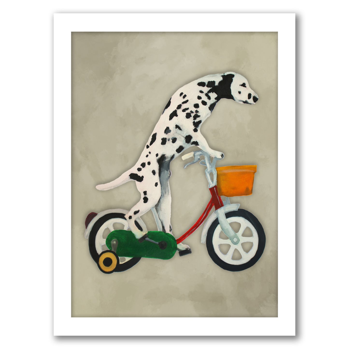 Dalmatian Cycling By Coco De Paris - White Framed Print