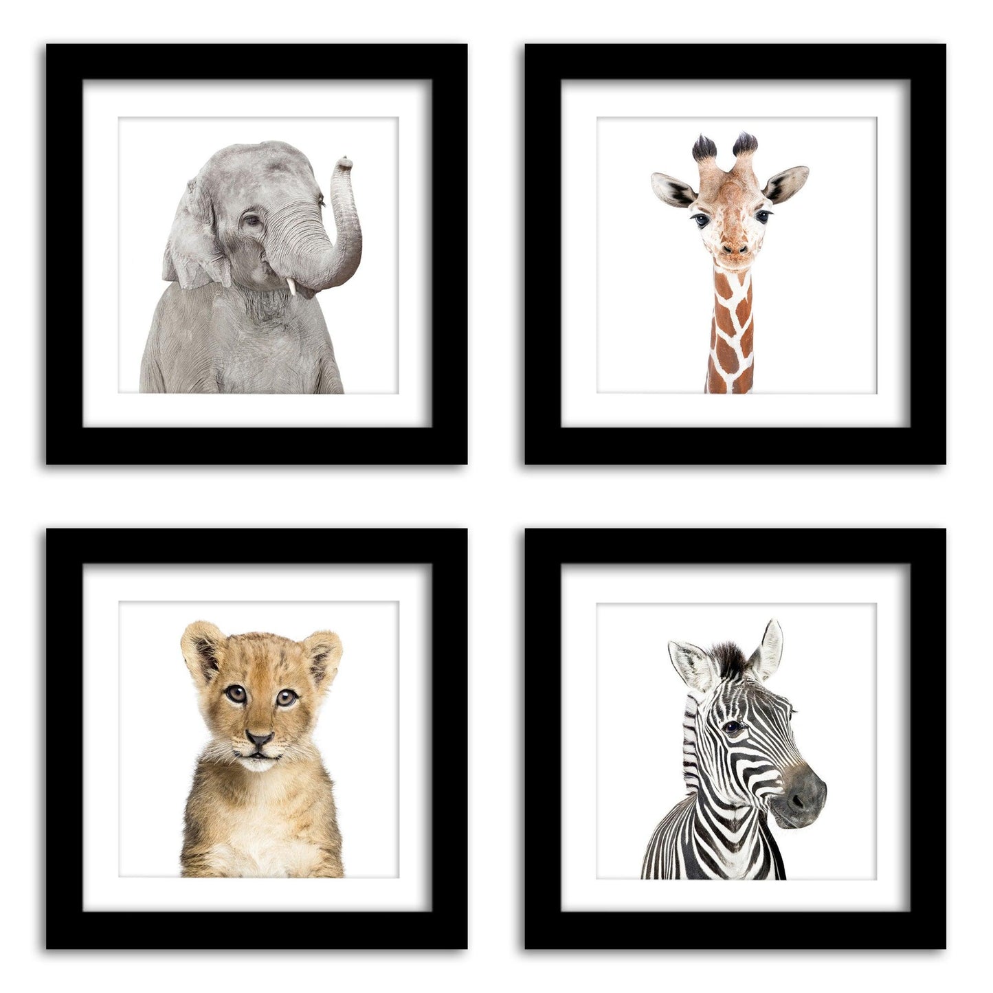 Safari Baby Animals - 4 Piece Framed Gallery Wall Set