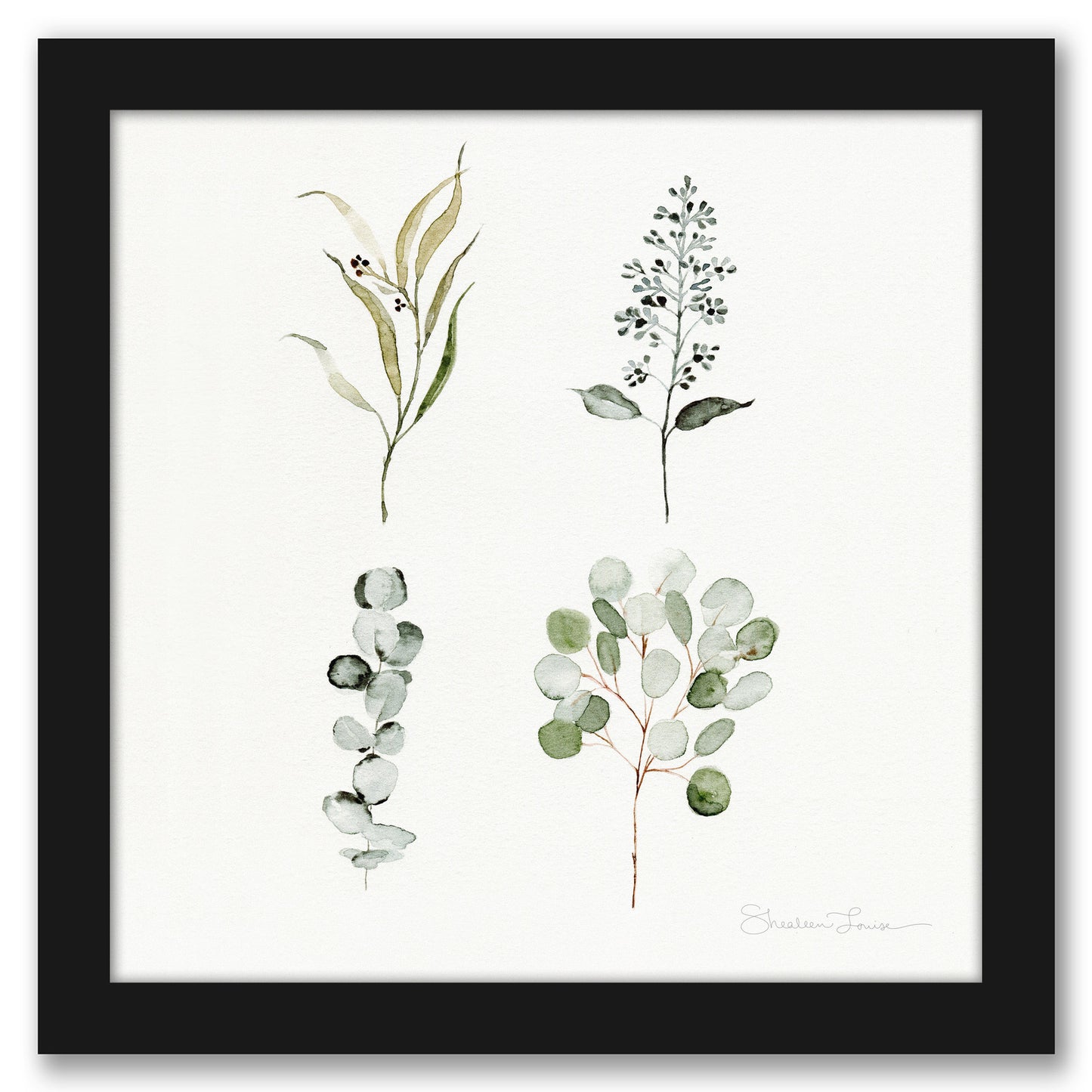 Eucalyptus Pieces by Shealeen Louise - Framed Print