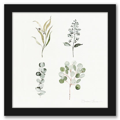 Eucalyptus Pieces by Shealeen Louise - Framed Print