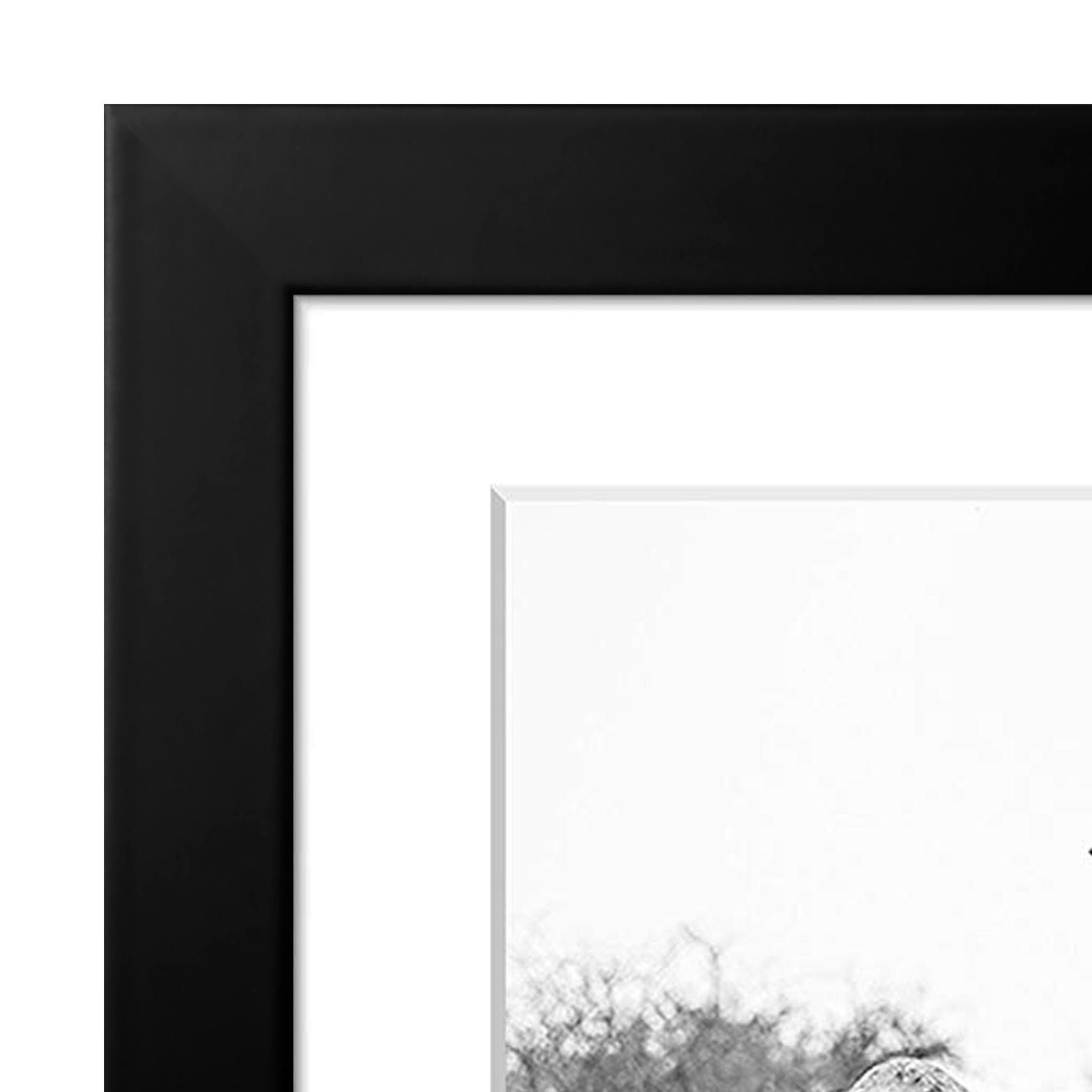 Picture Frame in Black with Lead Free Shatter Resistant Glass - Wall Mounted - 11" x 11" - Pack of 15 - Picture Frame - Americanflat