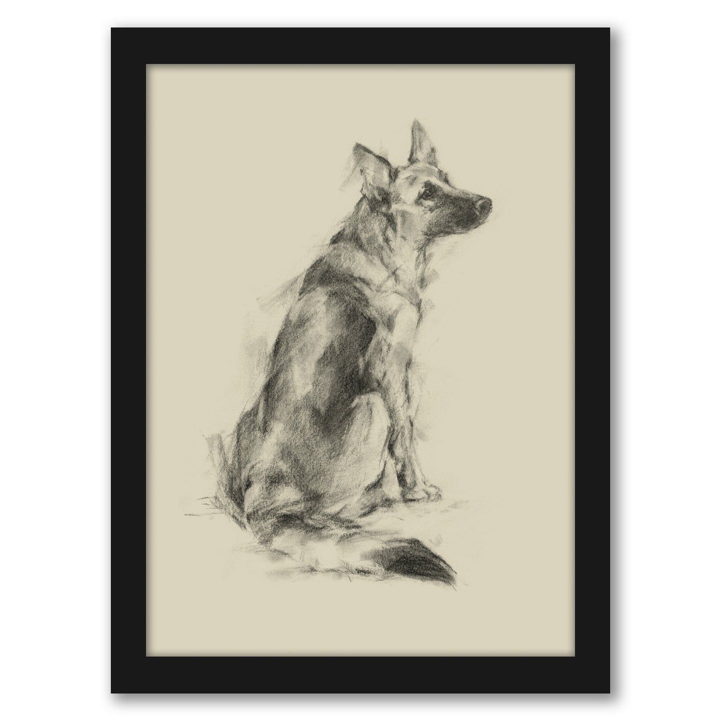 Puppy Dog Eyes V by Ethan Harper by World Art Group - Framed Print
