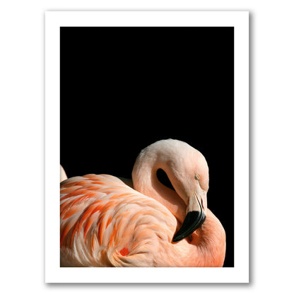 Sleeping Flamingo By Nuada - White Framed Print