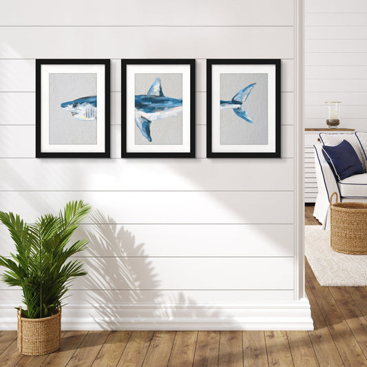 Mako Shark by Jetty Home - 3 Piece Gallery Framed Print Art Set - Americanflat