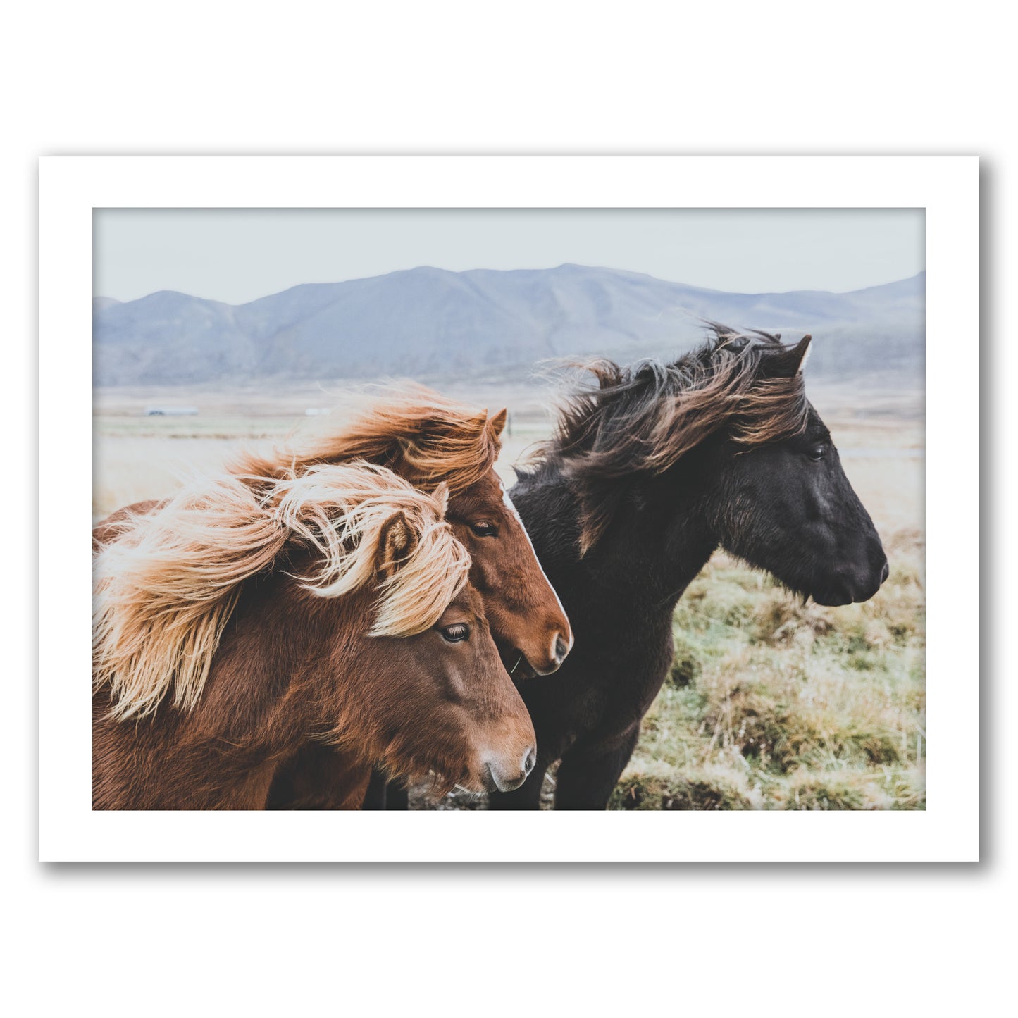 Eastern Region  Iceland by Luke Gram - Framed Print
