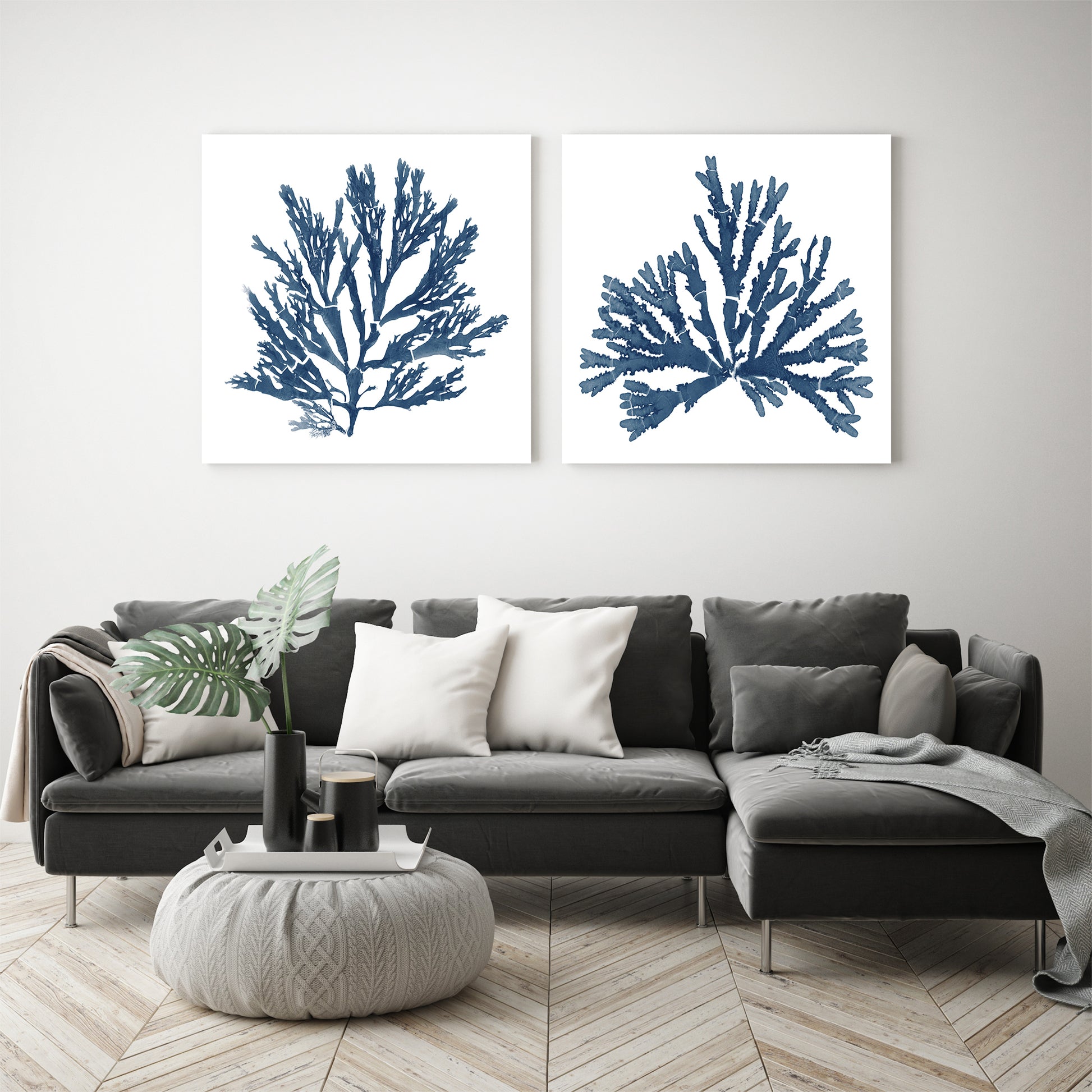 Pacific Sea Mosses Blue On White - 2 Piece Gallery Wrapped Canvas Set by Wild Apple Portfolio - Art Set - Americanflat