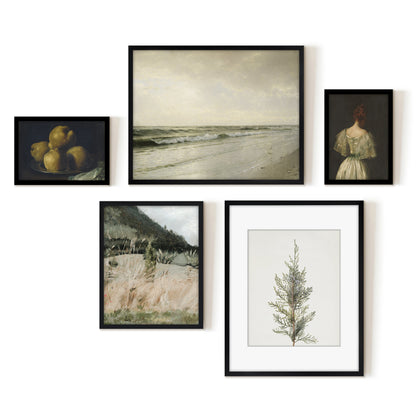 5 Piece Vintage Gallery Wall Art Set - Whispered Impressions Art by Maple + Oak