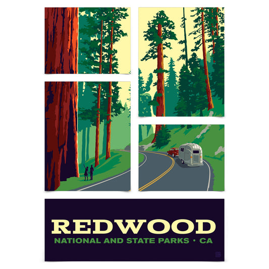 Redwood National Park Scenic Drive 5 Piece Grid Wall Art Room Decor Set  - Print