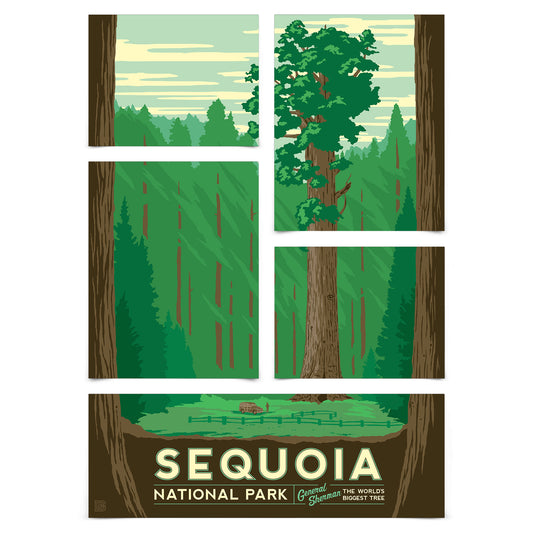 Sequoia National Park 5 Piece Grid Wall Art Room Decor Set  - Print