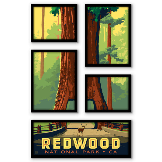 Redwood National Park Chandelier Tree 5 Piece Grid Wall Art Room Decor Set  - Framed