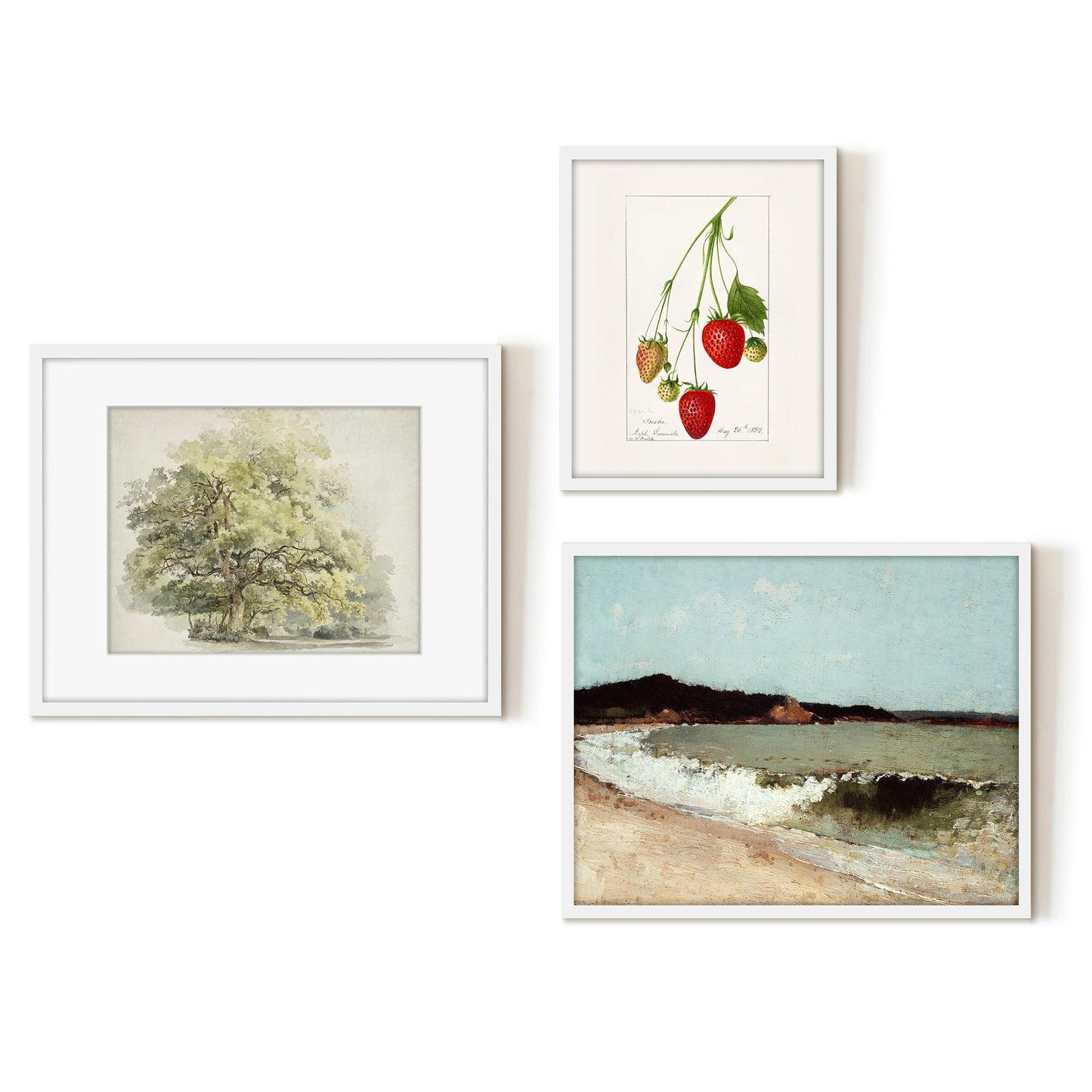 3 Piece Vintage Gallery Wall Art Set - Nature's Delicacy Art by Wall + Wonder