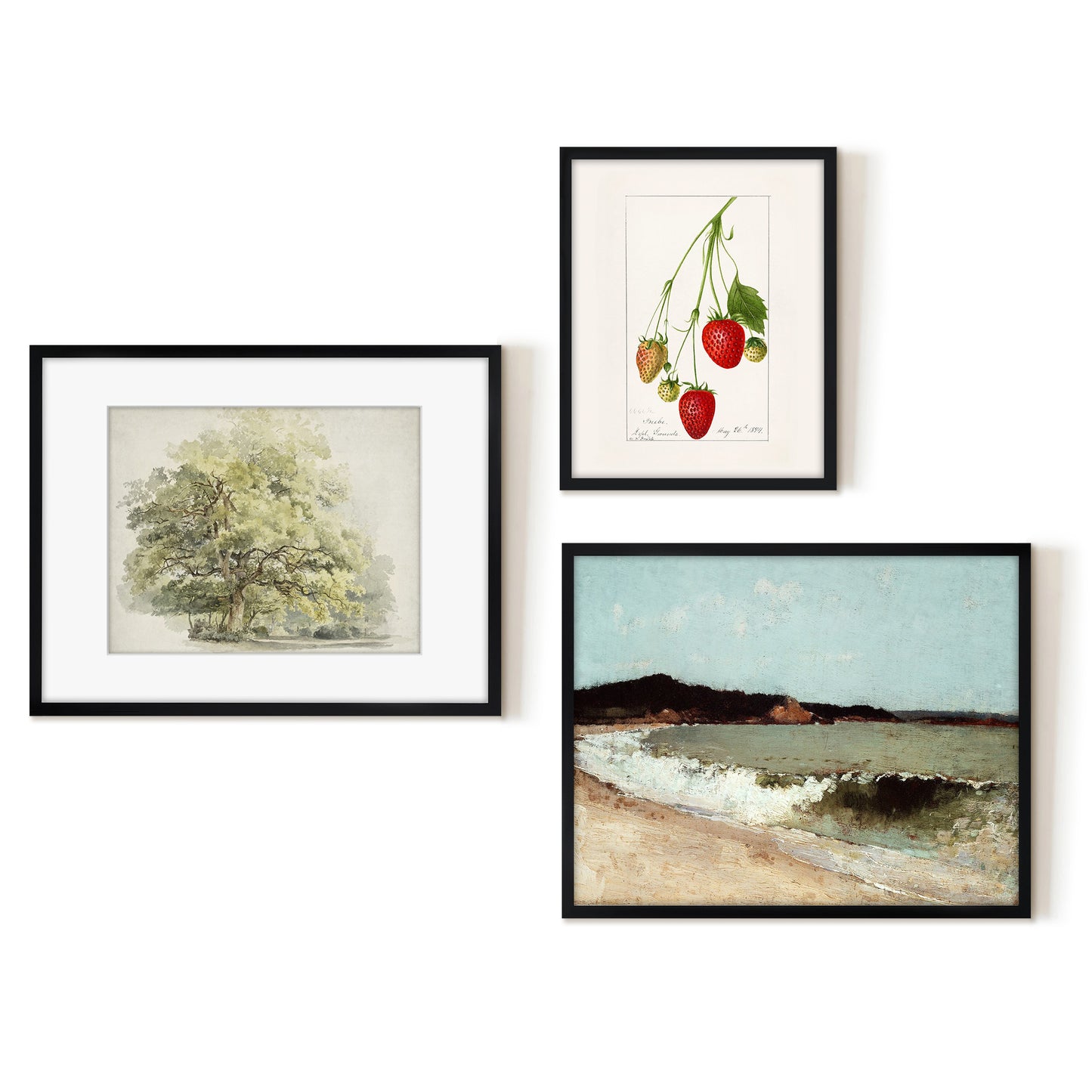 3 Piece Vintage Gallery Wall Art Set - Nature's Delicacy Art by Wall + Wonder
