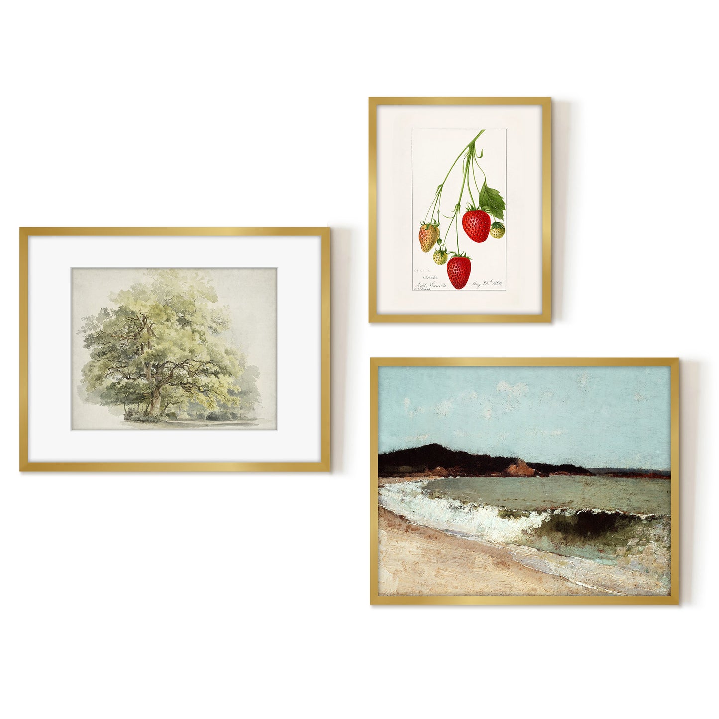 3 Piece Vintage Gallery Wall Art Set - Nature's Delicacy Art by Wall + Wonder