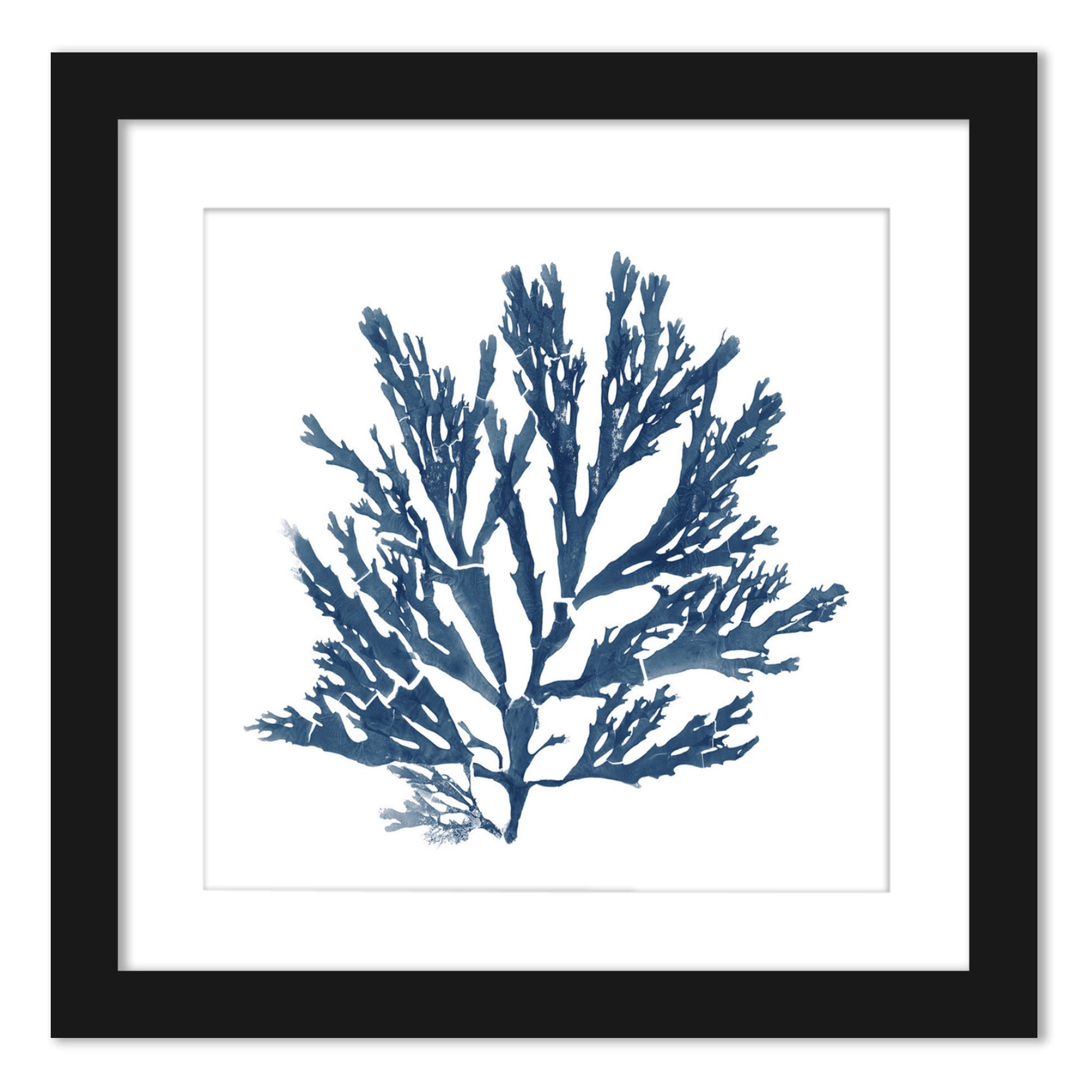 Coral Reef In Indigo - Set of 2 Framed Prints by Wild Apple - Americanflat