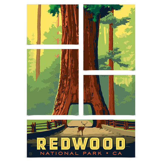 Redwood National Park Chandelier Tree 5 Piece Grid Wall Art Room Decor Set  - Print
