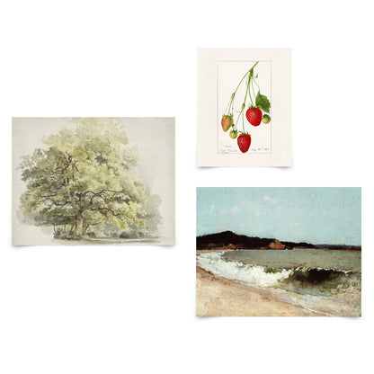 3 Piece Vintage Gallery Wall Art Set Poster - Nature's Delicacy Art by Wall + Wonder - Prints