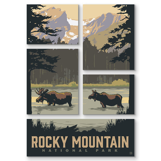 Rocky Mountain National Park Wildflowers 5 Piece Grid Wall Art Room Decor Set  - Framed
